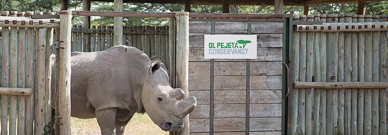 Ol Pejeta Holiday Villas Nanyuki Extérieur photo